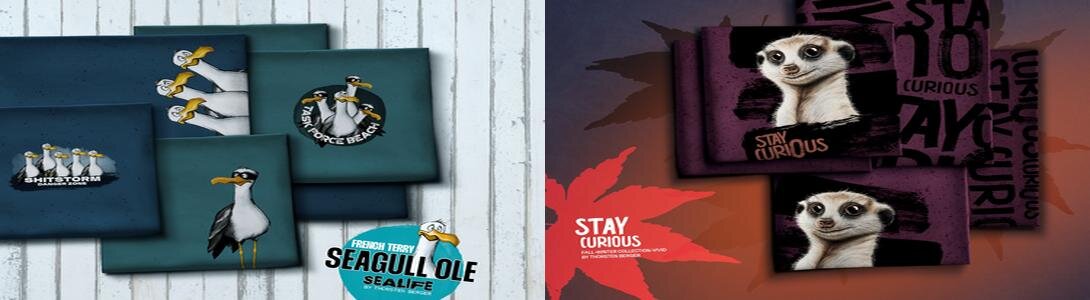 seagull, stay curios, banner