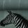 Wild Zebra by Thorsten Berger, Jersey Panel, smaragd