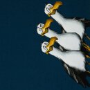 Sealife Seagull Ole by Thorsten Berger, blau French Terry