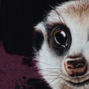 Stay Curious by Thorsten Berger - Erdmännchen Panel, French Terry